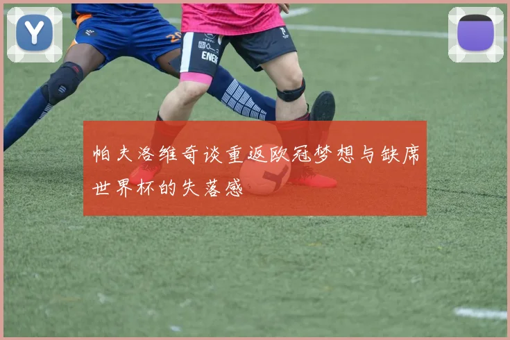 帕夫洛维奇谈重返欧冠梦想与缺席世界杯的失落感